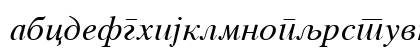 C_Times Italic Preview