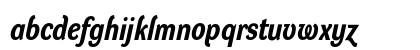 DynaGrotesk RM Bold Italic Lowercase Preview