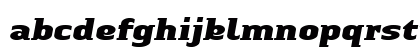 LTAuthenticSmallSerif Medium Black Preview