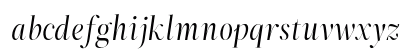ZT Neue Ralewe Italic Preview