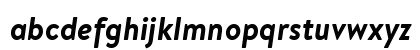 Brandon Text Bold Italic Preview