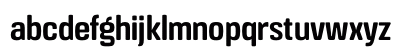 Crossfit Demo Demi Lowercase Preview