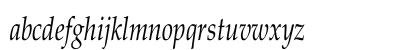 Palatino-Italic Cn Regular Lowercase Preview
