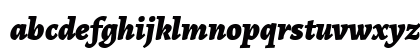 Alegreya Black Italic Lowercase Preview