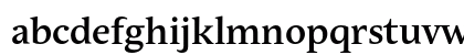 Andulka Book Pro Bold Preview