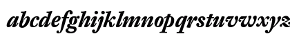 DTLFleischmannT ItalicBold Preview