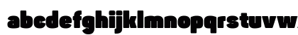 Panton-Trial Fat Regular Lowercase Preview