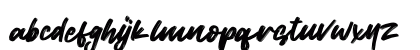 Wild Youth Regular Lowercase Preview