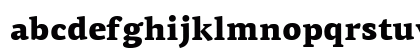 PF Agora Serif Pro Black Preview