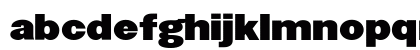 Champion Medium Lowercase Preview