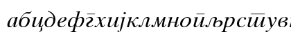 MAC C Times Italic Preview