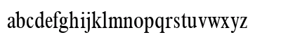 Times New Roman Condensed Regular Preview