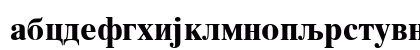 MAC C Times Bold Preview