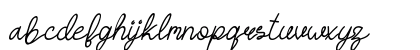 HASTON DEMO Script Regular Lowercase Preview