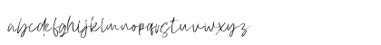 Atkinson Signature Regular Lowercase Preview
