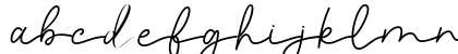 Raleigh Modesto Regular Lowercase Preview