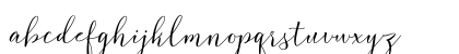 Flash Script DEMO Regular Preview