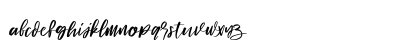 Signature hawk Regular Lowercase Preview