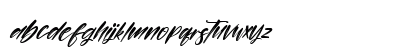 Persistent Italic Lowercase Preview