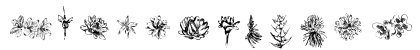 Tupiniquim  Flora Regular Lowercase Preview