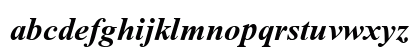 Times New Roman PS ItalicBold Preview