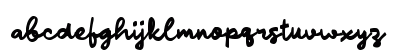 Paahong Script Regular Lowercase Preview