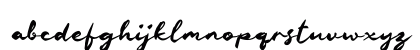 n Nastya Regular Lowercase Preview