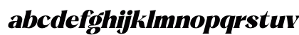 Beatnik Garden DEMO VERSION Italic Lowercase Preview