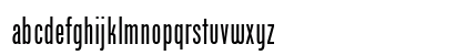 Phenix American Regular Preview
