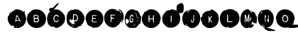 BackspacerRound Roman Lowercase Preview