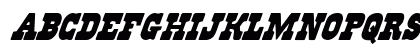 Regulators Italic Italic Preview