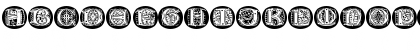 SF Burlington Script Regular Lowercase Preview