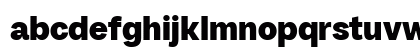 SFT Ritam Sans TRIAL Black Regular Lowercase Preview