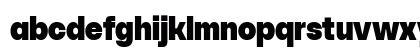 SFT Schrifted Sans TRIAL Black Comp Preview