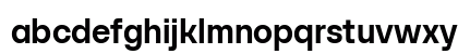 SFT Schrifted Sans TRIAL DemiBold Comp Preview
