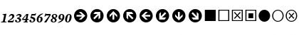 Mercury Numeric G4 Italic Font