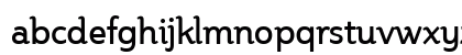 Steinem Roman Lowercase Preview