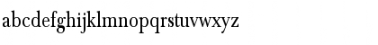 NewBaskervill 4 Regular Font