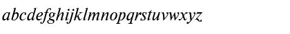 NewtonCTT Italic Font