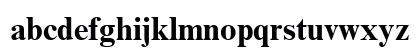 Times New Roman Cyr Bold Preview