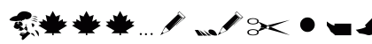 Tinydings Regular Preview