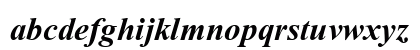 TR Times New Roman Bold Italic Preview