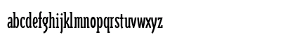 TriplexConSerOldstyle Regular Preview