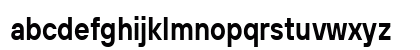 TT Hoves Pro Trl Cnd DemiBold Lowercase Preview