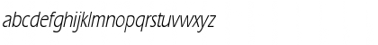 ErgoeCondensed Italic Font