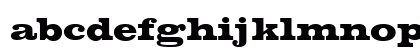 VoltaT Bold Preview