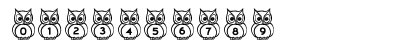 New Regular Preview