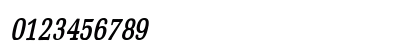 Bid Roman Thin Bold Italic Numeric Preview
