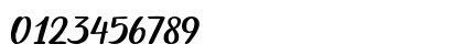 Austein Script Regular Numeric Preview