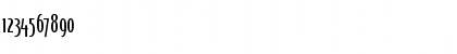 Bierg￿en Light Italic Light Italic Preview